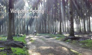 Welcome Spring - It's about time! Bike riding through woods.